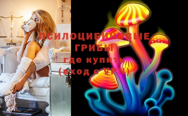 шишки Алзамай