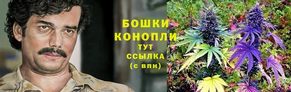 шишки Алзамай