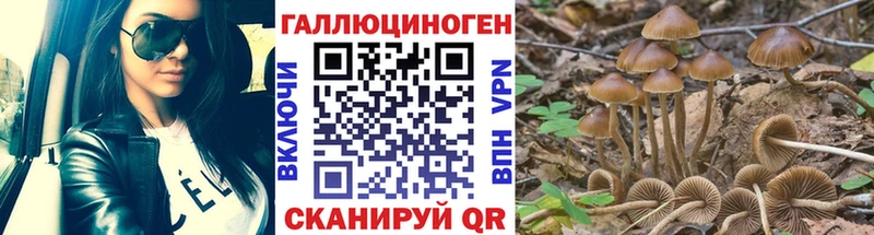 Галлюциногенные грибы Magic Shrooms  Балашов 